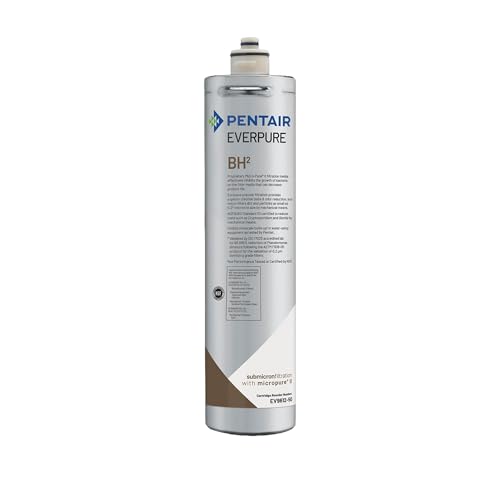 Everpure EV961250 BH2 Food Service Water Filter Cartridge - Pack of 1