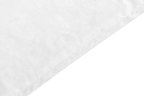 20x20 Inch Down Feather Pillow Inserts - Double Layered White Pack of 2