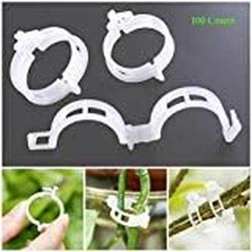 AKOAK Plant Support Clips - 100 Pcs for Tomatoes, Vines, and Vegetables - Durable Garden Twine Clips