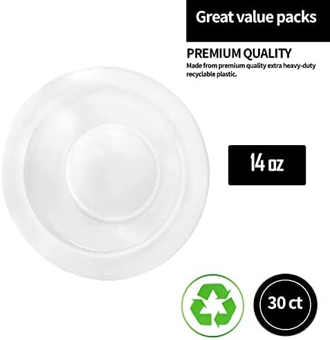 Premium 9-Inch Heavyweight Plastic Plates - Crystal Clear Wedding & Party Dinnerware, 30 Count