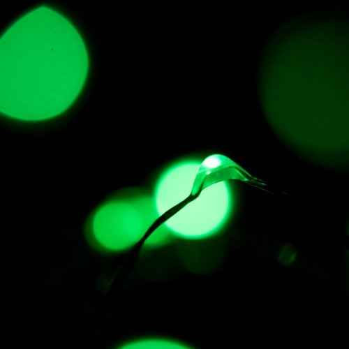 30 LEDs Green Color String Lights Silver Wire Indoor and Outdoor 9.5 Feet Firefly Starry Fairy Lights Battery Powered for DIY, Christmas, Holidays, Party, Bedroom and Centerpieces