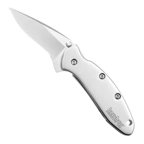 Kershaw Chive Pocket Knife, 1.9" 420HC Steel Blade with 410 Stainless Steel Handle, Assisted Opening with Flipper, Single-Position Pocketclip, Small EDC