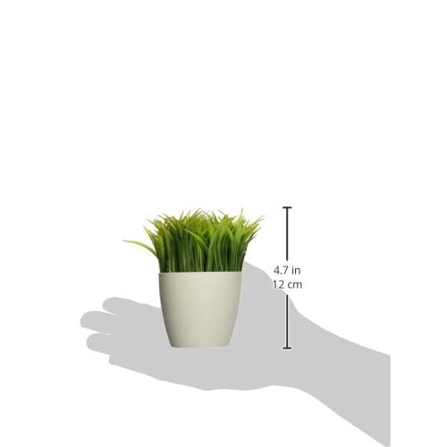 Kikkerland Potted Pen Stand (SC24)