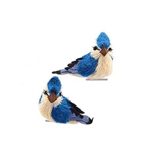 Blue Jay With Clip Ornaments, 2 Assorted