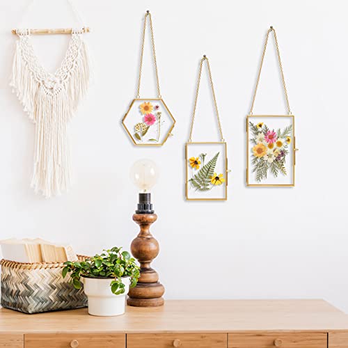 Relaxing Garden Pressed Flower Frame Kit - 3 Hanging Glass Botanical Wall Decor