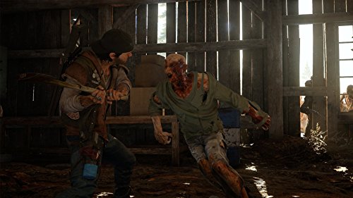 Days Gone PS4 Action Adventure Game with Open World Survival