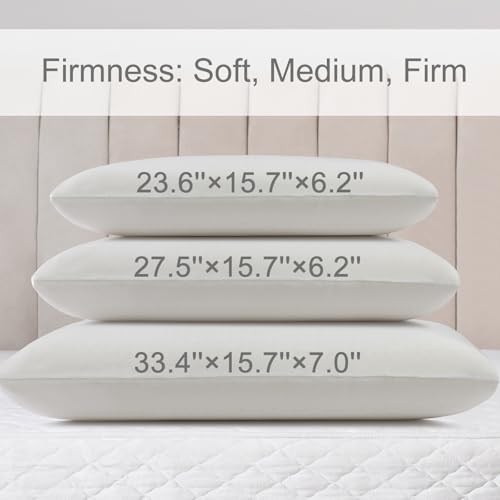Standard (Mid Loft) Natural Talalay Latex Pillow - Support for Side, Back, & Stomach Sleepers