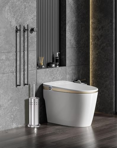 Dowry Silver Toilet Plunger with Holder - Bathroom Clog Remover & Odor Control