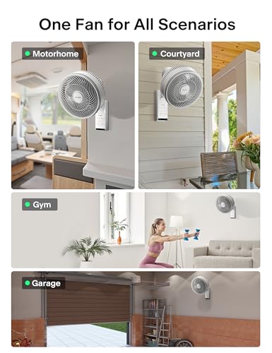 Pelonis 12-Inch Indoor Oscillating Wall Mount Fan with Remote - White, 1 Pack