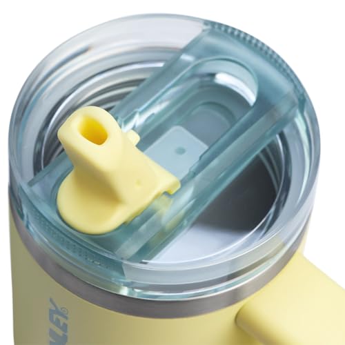 STANLEY Quencher ProTour Flip Straw Tumbler with Leakproof Lid 14 oz | Built-In Straw and Handle | Cup Holder Compatible for Travel | Insulated Stainless Steel Cup | BPA-Free | Pomelo