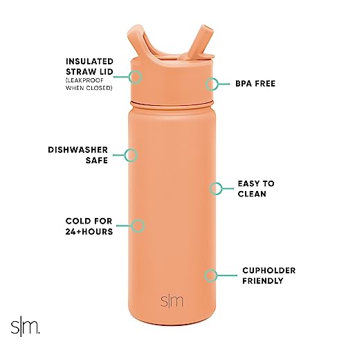 Simple Modern Water Bottle with Straw Lid Vacuum Insulated Stainless Steel Metal Cup Bottles | Reusable Leak Proof BPA-Free Flask for Gym Sports | Summit Collection | 22oz, Raspberry Vibes