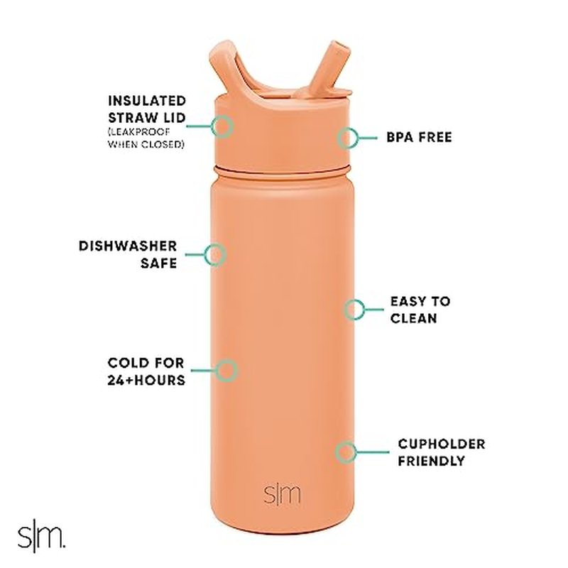 Simple Modern Water Bottle with Straw Lid Vacuum Insulated Stainless Steel Metal Cup Bottles | Reusable Leak Proof BPA-Free Flask for Gym Sports | Summit Collection | 22oz, Raspberry Vibes
