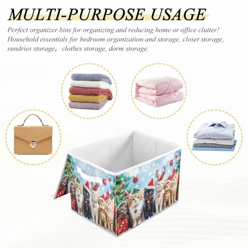 senya Christmas Baskets Collapsible Storage Bins with Lids, Cat A