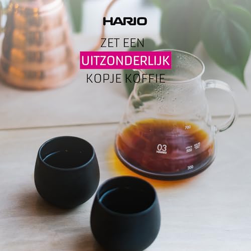 Hario V60 Range Server 800ml Clear - Coffee Carafe with Heat-Resistant Handle