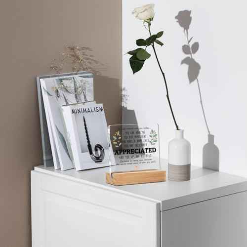 Inspirational Appreciation Gifts for Coworker Teacher Friends - Office Desk Decor - Thank You Christmas Stocking Stuffers for Employee - Welcome Farewell Birthday Retirement (4 X 4 Inches)