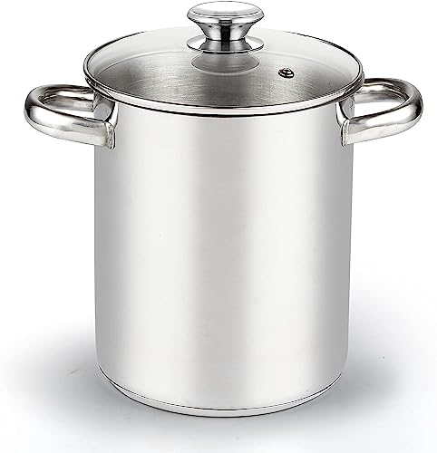 4-Quart Stainless Steel Deep Fryer Pot with Mesh Basket & Glass Lid – Cook N Home