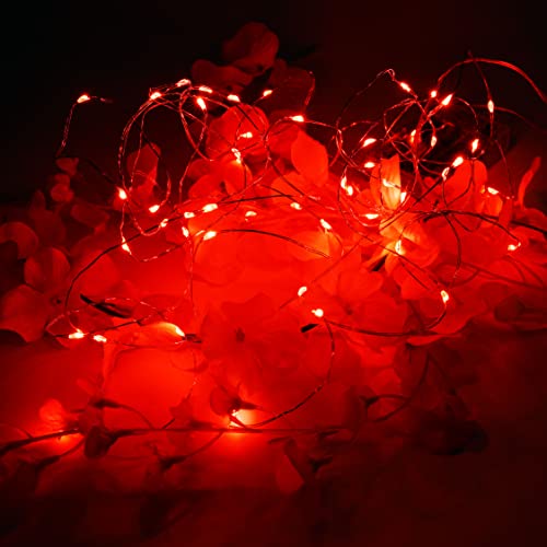Christmas Lights Battery Operated, 16Ft Christmas Lights Battery Operated with 8 Flashing Modes and 8 Hours On 16 Hours Off Timer(Red,1 Pack)