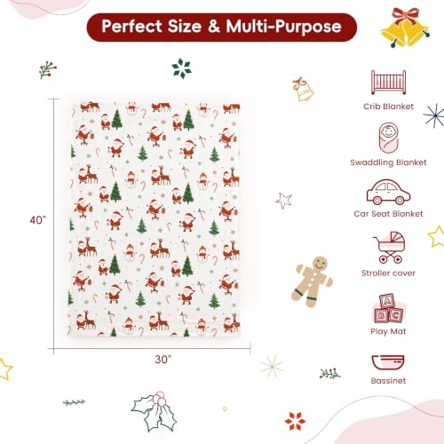David's Kids Micro Fleece Minky Baby Blanket 30x40 Inches Christmas Edition