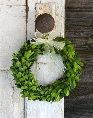 Preserved Boxwood Wreath - Authentic Decorative Greenery for Home Decor