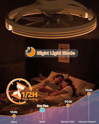 20-Inch Ceiling Fan with Lights Remote Control & App, Low Profile Fandelier