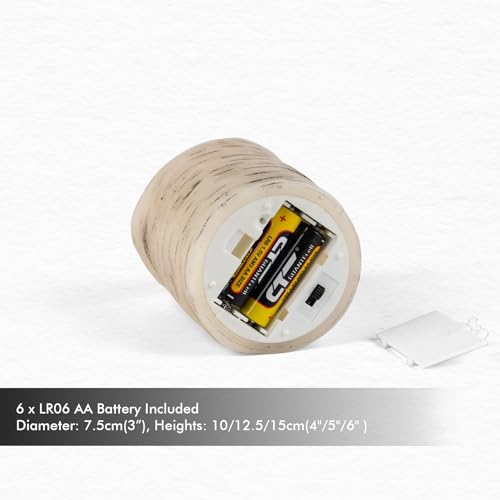 Birch Flameless LED Candles Set of 3 with Remote & 4/8H Timer, 4"/5"/6" Heights - Battery Operated
