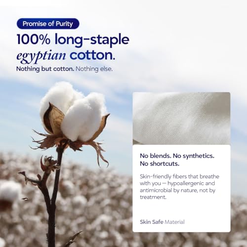 Queen Pillowcase Set of 4 - 1000 TC Egyptian Cotton Ultra Soft Cooling Bedding - White, Variation: White / 4 Pc Standard