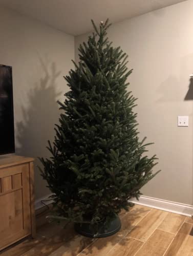 Heavy Duty Christmas Tree Stand for Live Trees Up to 8 Feet with Watering System