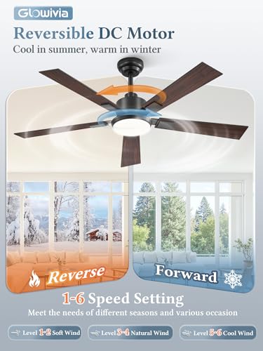 Black 52 Inch Ceiling Fan with Dimmable 3000-6000K Lights Remote Control - Reversible Blades