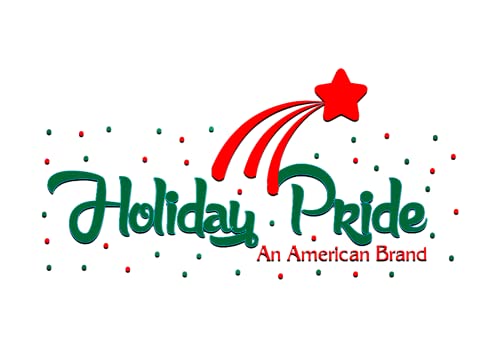 Holiday Pride White Mini Christmas Lights on Brown Wire — 35 Count, 12.5 ft, Static & Flashing