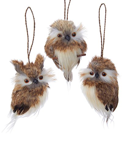 Kurt Adler Brown Hanging Owl Ornaments - 3 Assorted