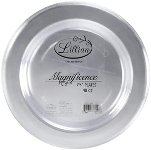 Premium 9-Inch Heavyweight Plastic Plates - Crystal Clear Wedding & Party Dinnerware, 30 Count
