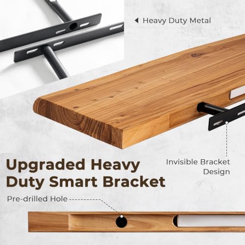 Live Edge Elm Floating Shelves - Rustic Wall Mounted Storage Set of 2