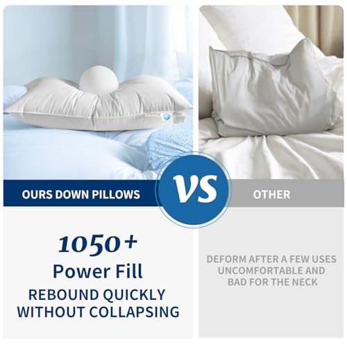 Canadian Goose Down Pillow King Size - 1050 Fill Power White - AiAngu