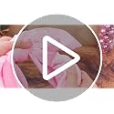 Gejoy Pink Velvet Christmas Tree Decoration Set with 47 x 15.7 Inch Large Topper Bow, 30 Small Velvet Bows & 36 Ornaments