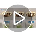Gold 19-Inch Caged Ceiling Fan with Light and Remote - Farmhouse Flush Mount
