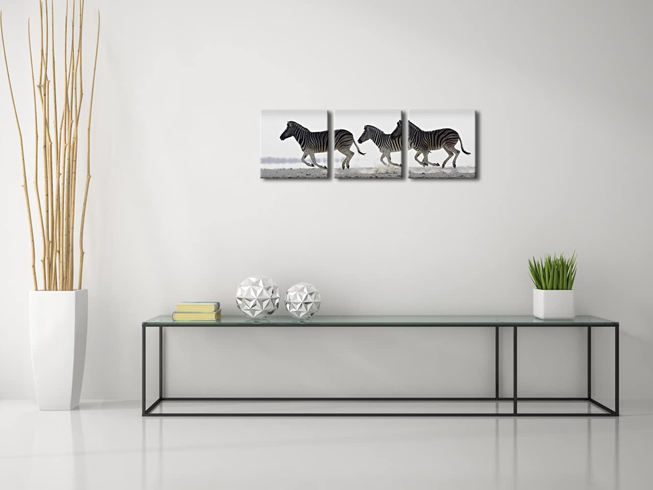 Zebra Canvas Prints Wall Art - Black & White Animal Paintings for Living Room, Bedroom, Bathroom - 3 Piece Stretched Artwork