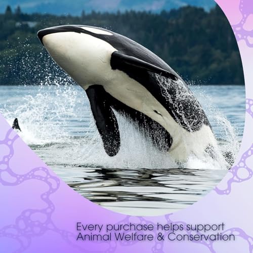 Orca Spice Low Calorie Chai Tea Latte Mix - 48 Oz Organic Black Tea & Spices - Sugar Free, Pack of 1