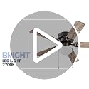 42 Inch Ceiling Fan with Light - Silver Finish, Reversible Blades & Remote Control