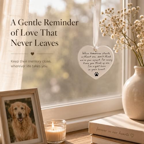 WCDHOR Pet Memorial Heart Ornament - Gift Box, Pet Loss Sympathy Keepsake