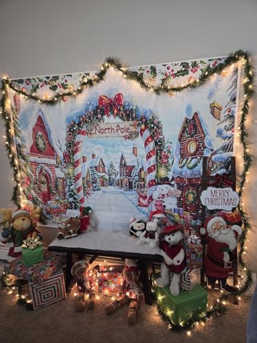 10x8ft North Pole Christmas Backdrop Banner – Vinyl Photo Backdrop (3.0m x 2.4m) BINQOO