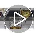 18oz School of Fish Stemless Wine Glasses Set of 4 - Lead-Free, Engraved, US Made