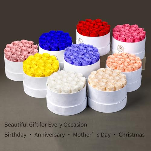 Flowers for Delivery, 20 Preserved Roses in Velvet Box, Gifts Women
