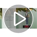 Ferris Bueller Hallmark Keepsake Christmas Ornament with Sound - 2026