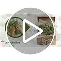 Succulent Pillow 16in - Olive Green Plush Flower Cushion, Plant Lover Gift