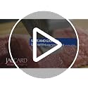 White 48-Blade Meat Tenderizer with Stainless Steel Needles - Pack of 1