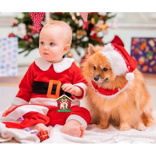 FLYAB Dog Picture Frame Christmas Ornaments 2025 Personalized Photo Frame Ornament for Christmas Tree My First Xmas Ornament 2025 for Dogs Lovers Christmas Tree Decorations Gifts