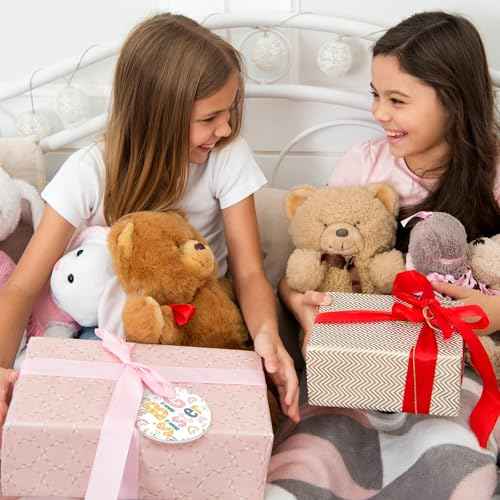 Syhood Christmas Big Sister Ornament New Big Sister Gift Christmas Tree Decorations Round Ceramic Ornament with Black Velvet Bag Xmas Gift(Rainbow)