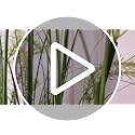 Artificial Tall Onion Grass Plants with Silk White Flowers - 4Ft, 2 Pack, Green & White Variation