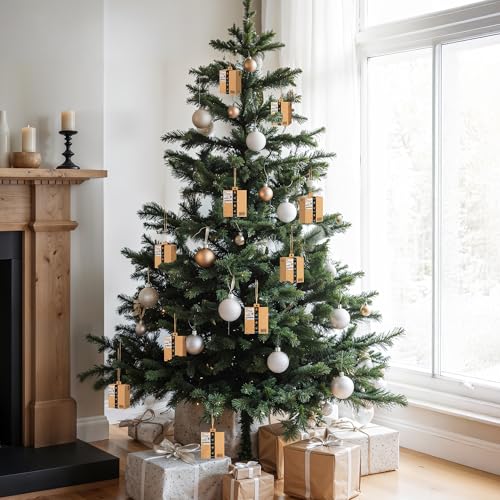 Cbloxtor 10 Pack Funny Christmas Mini Shipping Box Tree Ornaments