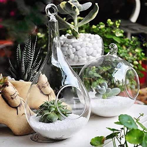 Glass Hanging Planter Set - 2 Pack Terrarium Vases for Succulents & Air Plants - Home Decor Gift